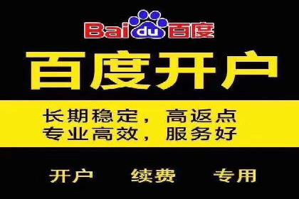 百度新闻源优化：案例解析提升品牌知名度