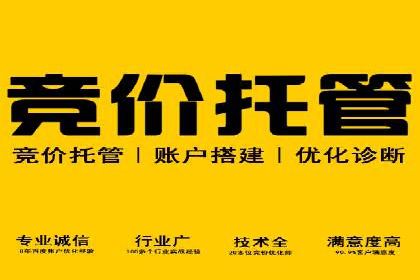 某企业通过百度SEM实现ROI最大化的案例